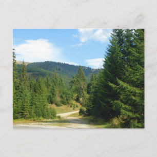 Postal Rumania, Moldavia, entre los bosques de pinos