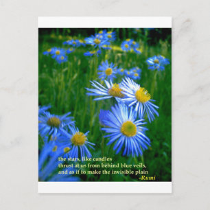 Postal Rumi-Blue