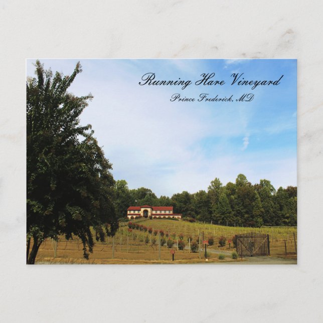Postal Running Hare Vineyard (Anverso)