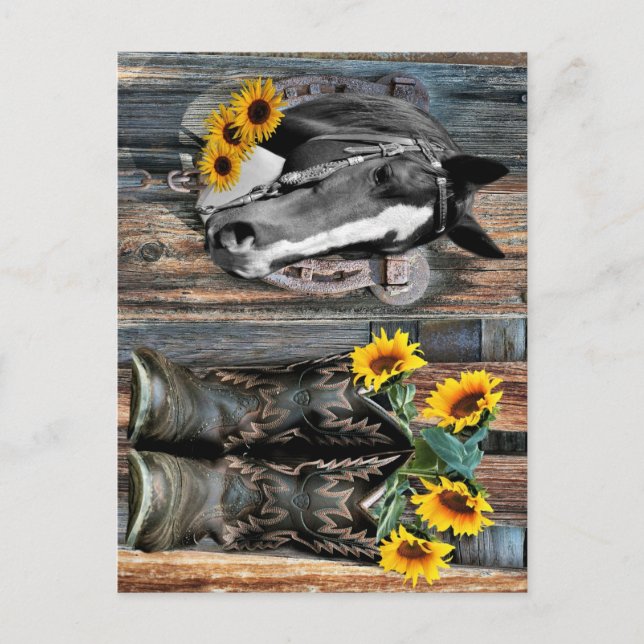 Postal Russe Western Horse Cowboy botas Sunflowers (Anverso)