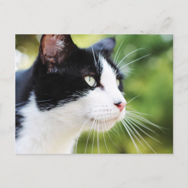 Postal Russell 1 (Anverso)