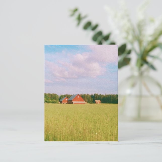 Postal Rustic summer field, Helsingia, Sweden (Anverso de pie)