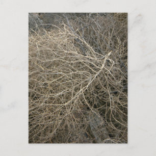 Postal Rustic Tumbleweed