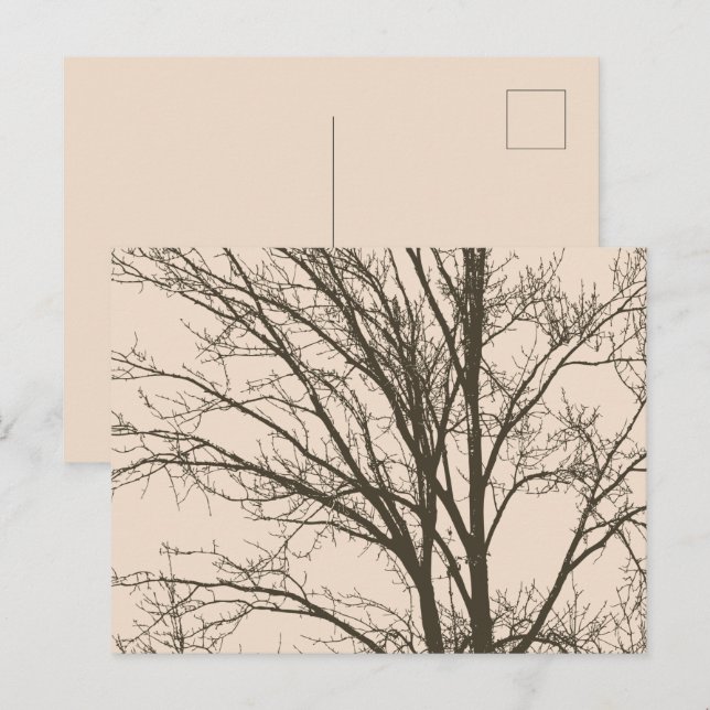 Postal Rústica rama de árbol marrón crema (Anverso / Reverso)