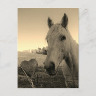 Postal Rústico caballo y corazón de San Valentín