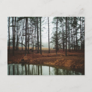 Postal Rústico Pond