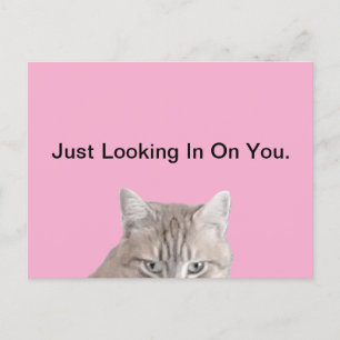 Postal Rusty La Postcarta Rosa Cat