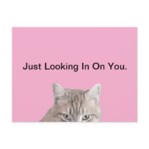 Rusty La Postcarta Rosa Cat