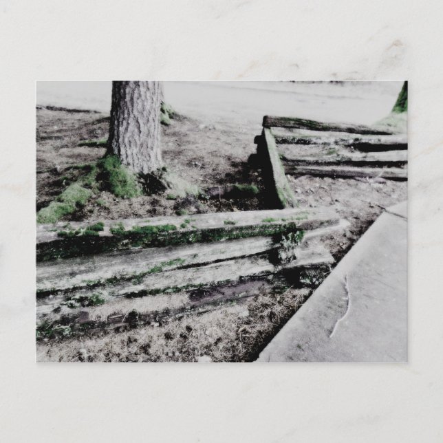 Postal ruta (Anverso)