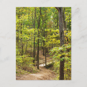 Postal Ruta A La Postcard Del Puente