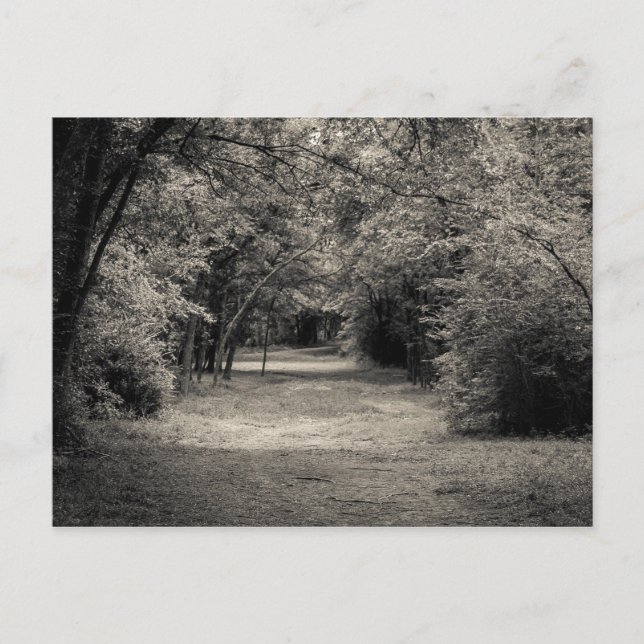 Postal Ruta a lo desconocido (Anverso)