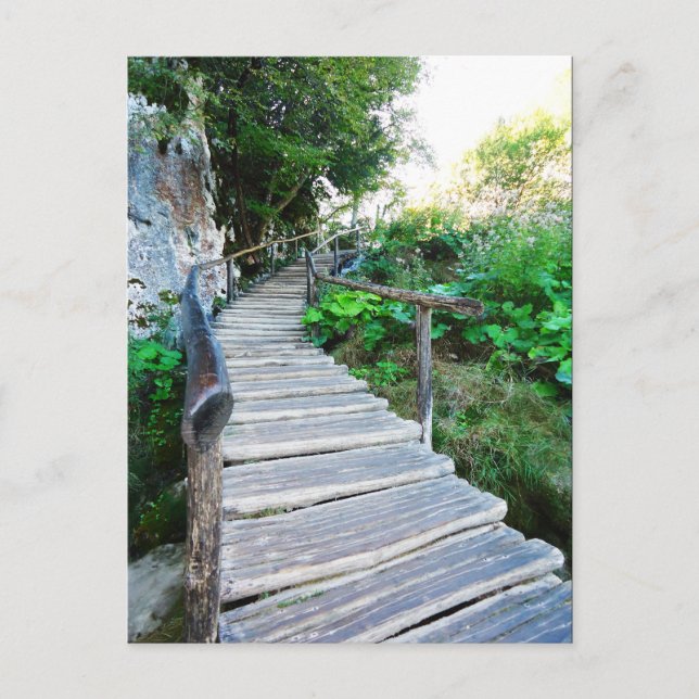 Postal ruta de acceso a la naturaleza (Anverso)