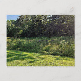 Postal Ruta de acceso de Oakwoods Metropark Turquía