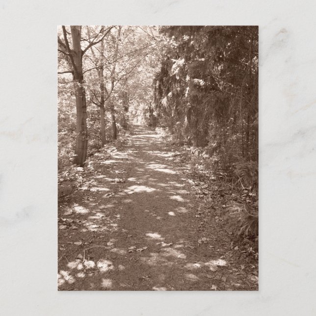 Postal Ruta de acceso de Woods—Sepia (Anverso)