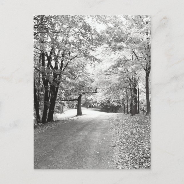 Postal Ruta de caída (Anverso)