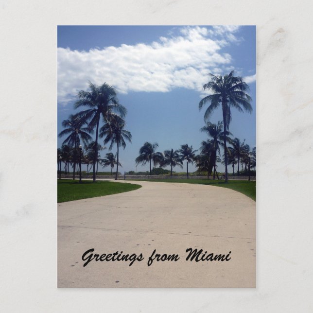Postal ruta de la palma de miami (Anverso)