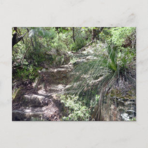 Postal ruta de las montañas azules