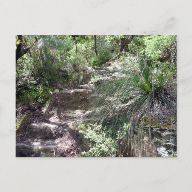 Postal ruta de las montañas azules (Anverso)