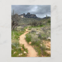Ruta de las Montañas Catalina