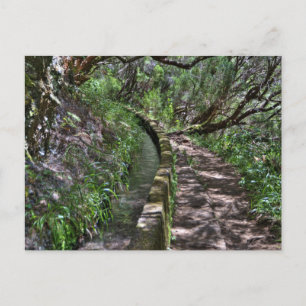 Postal Ruta de Madeira