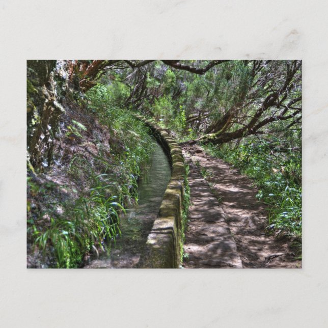 Postal Ruta de Madeira (Anverso)