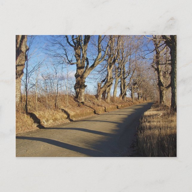 Postal Ruta de Noviembre (Anverso)