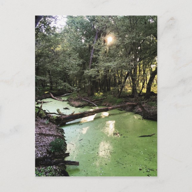 Postal ruta de puntos de arena (Anverso)