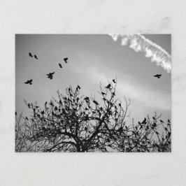 Postal Ruta de vuelo