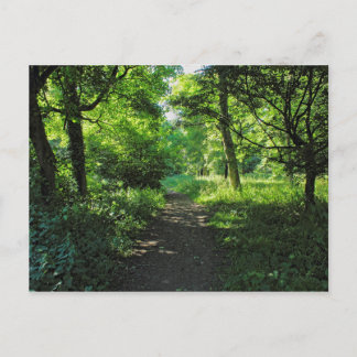 Postal Ruta de Woodland. Bosque de Blackweir, Cardiff, Ga