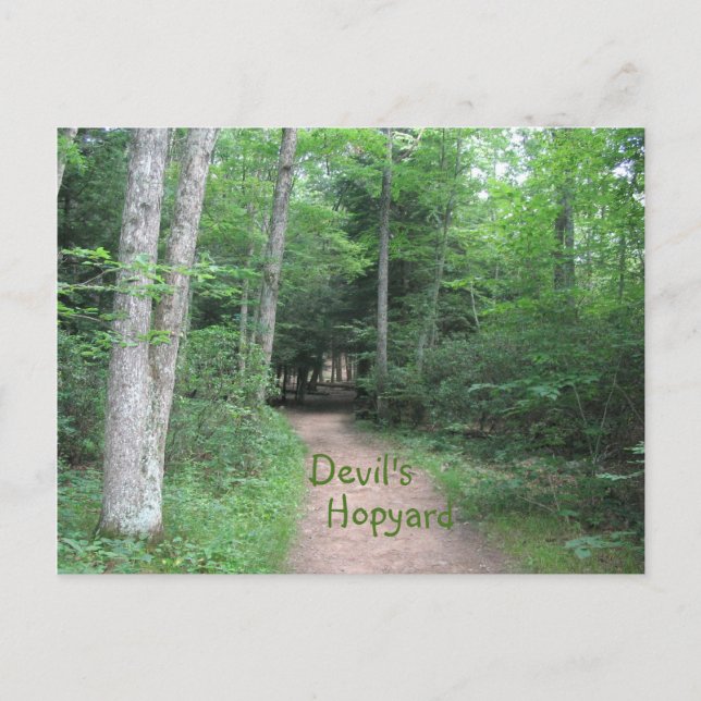 Postal Ruta de Woodsy (Anverso)