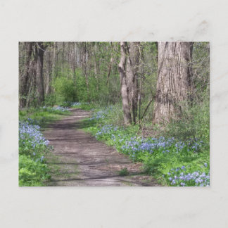 Postal Ruta del Bluebell