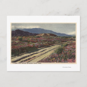 Postal Ruta del desierto a través de los campos de flores