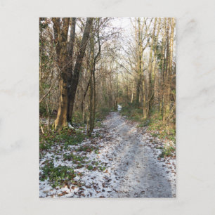 Postal Ruta del invierno en Arnside