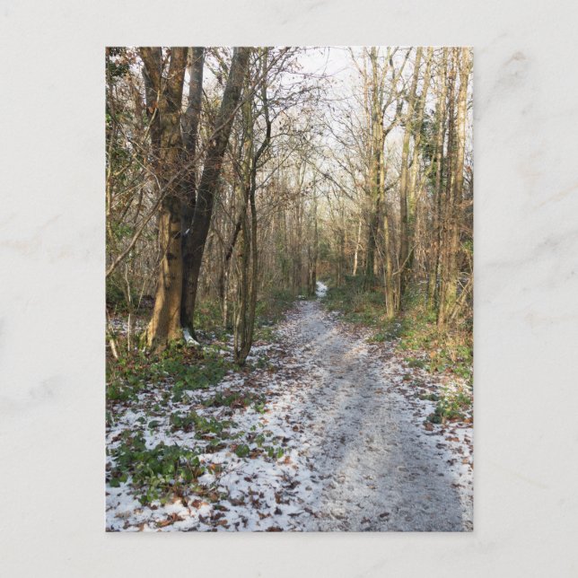 Postal Ruta del invierno en Arnside (Anverso)