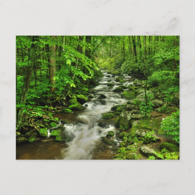 Postal Ruta del motor de las horquillas ruidosas (Anverso)