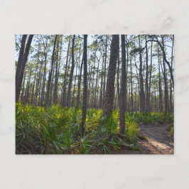 Postal Ruta del Parque Shell Mound, Isla Dauphin, AL