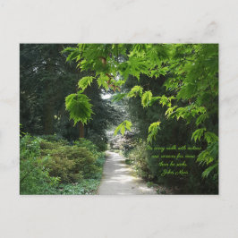Postal Ruta en la naturaleza Árboles verdes cita fotograf