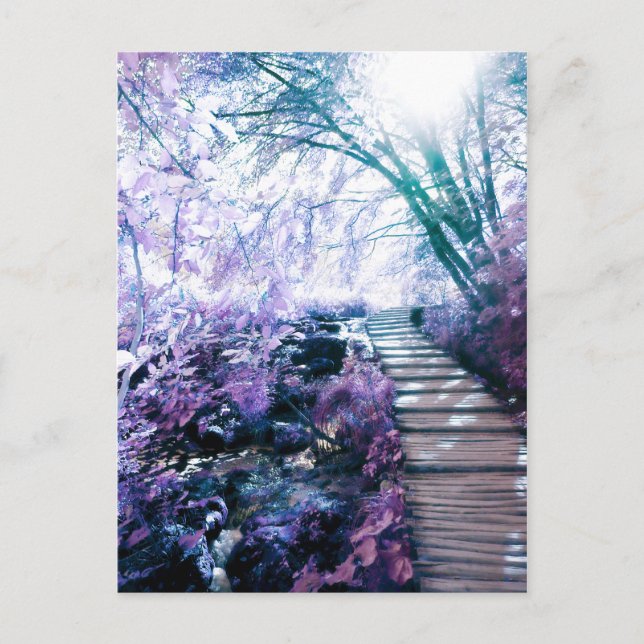 Postal ruta encantada (Anverso)