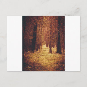 Postal Ruta forestal...