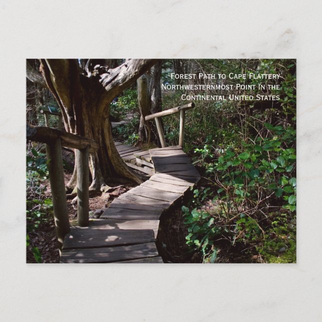 Postal Ruta forestal a la Fábrica del Cabo (Anverso)