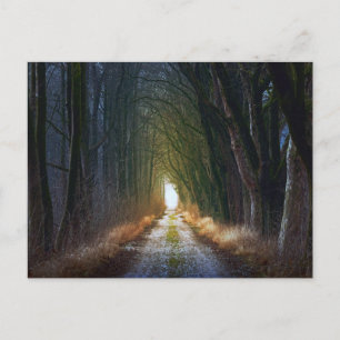 Postal Ruta forestal encantada 3