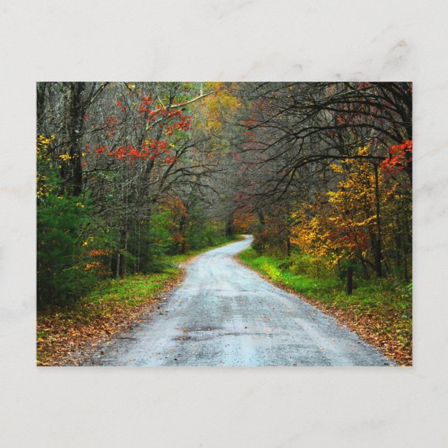 Postal Ruta sinuosa de otoño en las montañas Great Smoky (Anverso)