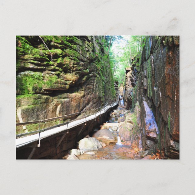 Postal Ruta suspendida Stream Franconia Notch NH Postcard (Anverso)