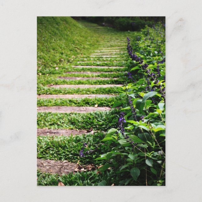 Postal Ruta verde (Anverso)