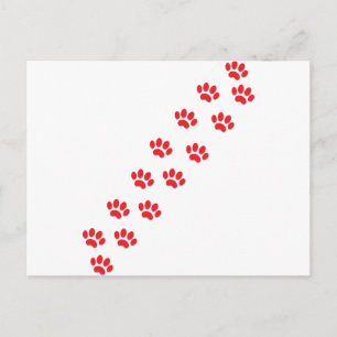 Postal Rutas de gato