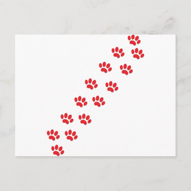 Postal Rutas de gato (Anverso)