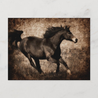 Postal Rutic Sepia Galloping Horse