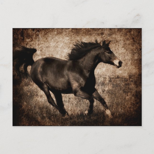 Postal Rutic Sepia Galloping Horse (Anverso)
