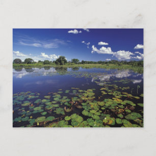 Postal S.A., Brasil, vías navegables en Pantanal