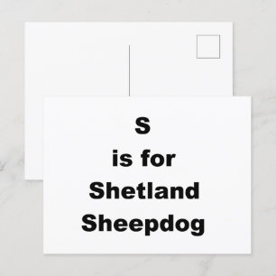 Postal S Es Para Shetland Sheepdog